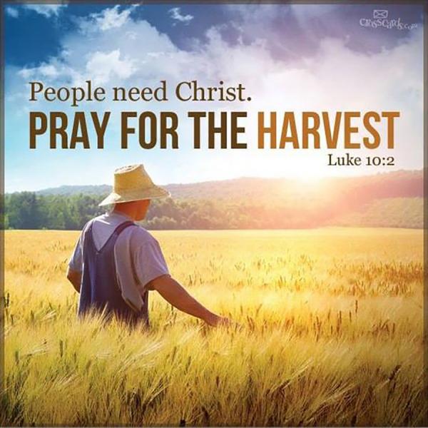 Wisconsin Christian News