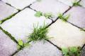 Story by Barbara L. Klika, MSW, Undershepherd, Set Apart Ministries