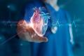 Story by Dr. David Lange