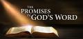 Story by Pastor Butch Paugh